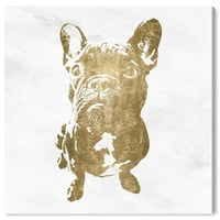 Wynwood Studio Animals Wall Art Canvas Prints 'Француски' кучиња и кутриња - злато, бело