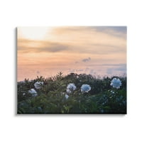 Цвеќиња од диви цвеќиња зајдисонце небото пејзаж галерија завиткана платно печатена wallидна уметност