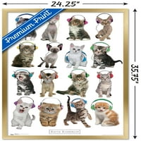 Кит Кимберлин - Мачиња - Слушалки Ѕид Постер, 22.375 34