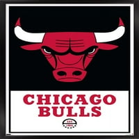 Чикаго Булс-Логото Ѕид Постер, 22.375 34