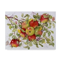 Трговска марка ликовна уметност „јаболка на гранка“ платно уметност од Марсија Меч