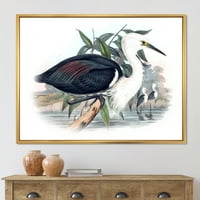 ДИЗАЈНАРТ „Антички птици од Австралија“ Традиционално врамено платно wallидно печатење