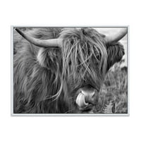 DesignArt 'Затвори на шкотска крава на Морланд II' фарма куќа врамена платно wallидна уметност печатење