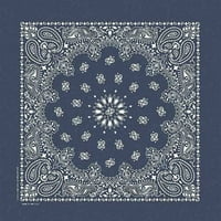 Hav-a-hank stonewash bandannas 20 x20 -морнарица paisley