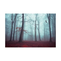 Трговска марка ликовна уметност „Солстице во магла“ платно уметност од Дирк Встанхајџ