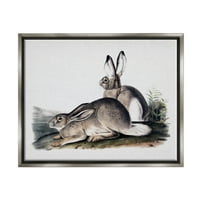 Зајак дуо гледајќи животни животни и инсекти Сликање сјај сив врамен уметнички печатен wallид уметност