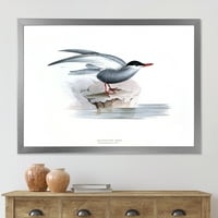 Дизајн на „Античка птица на Европа јас“ Традиционална врамена уметничка печатење