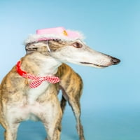 Дог -парна облека за кучиња, капа од кучиња кучиња со тијара, розова, xs s