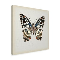 Трговска марка ликовна уметност „студија за пеперутка II“ платно уметност од Мелиса Ванг
