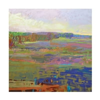 Janeејн Шмит 'поле во боја 24' платно уметност