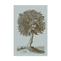 Трговска марка ликовна уметност „Античко дрво во сепија I“ платно уметност од визија студио