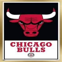 Чикаго Булс-Логото Ѕид Постер, 14.725 22.375