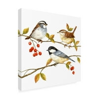 Трговска марка ликовна уметност „птици и бобинки I“ платно уметност од Janeејн Мадај